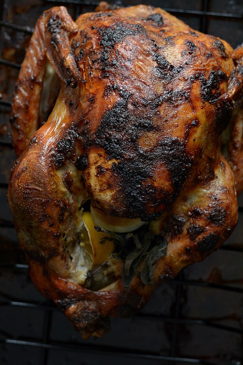 Mayo Roasted Turkey