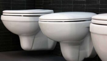 Best Bidet Toilet Seats: Reviews + Ratings