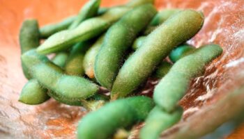 Can I Have Edamame On Whole30?
