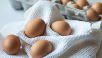16 Keto Egg Recipes: Egg-cellent and Egg-tastic Way of Life!